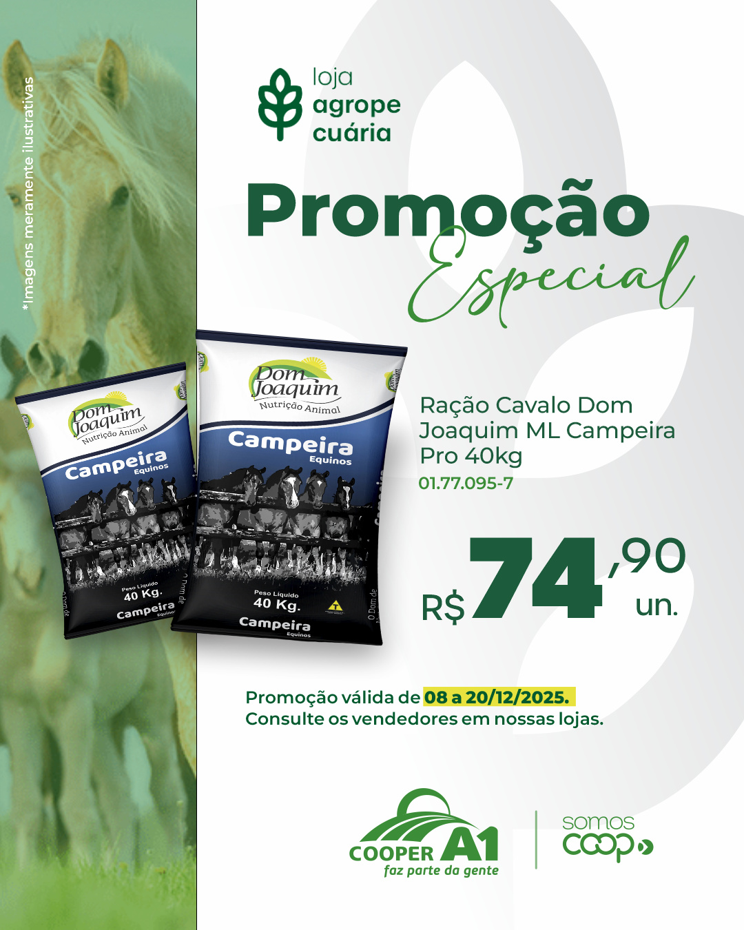 Promo&ccedil;&atilde;o Especial
