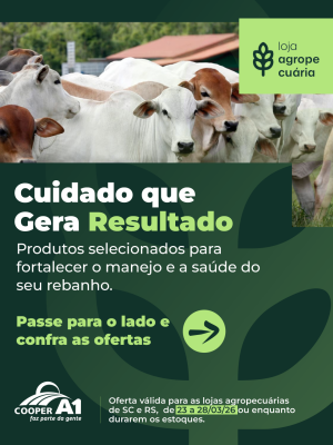 Cuidado que gera resultado!