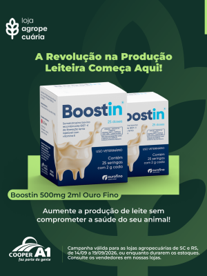 Campanha Boostin