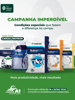 Campanha Imperd&iacute;vel