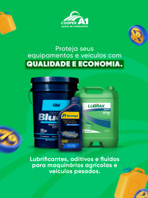 Revis&atilde;o e manuten&ccedil;&atilde;o de maquin&aacute;rios