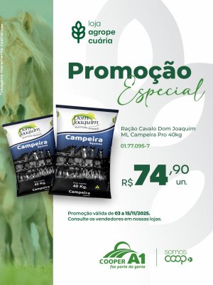 Promoção Especial
