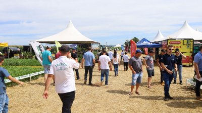 Próximos evento da Cooper A1 