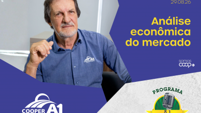 INFORMATIVO A1 29.08.26: An&aacute;lise econ&ocirc;mica do mercado