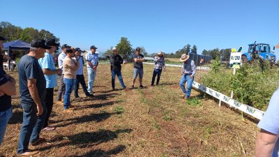 O sistema de plantio direto, tem como objetivo diminuir a erosão e aumentar a qualidade química, física e biológica do solo
<br/>