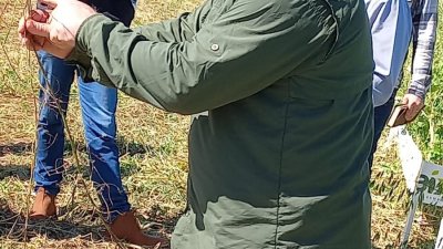 Esses produtos têm sido trabalhados em parceria com a Cooper A1 ao longo de seis anos