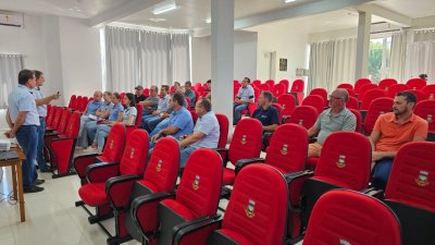 Vista Gaúcha e Tenente Portela