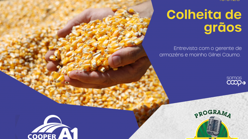 INFORMATIVO A1 10.01.26: Colheita de Grãos