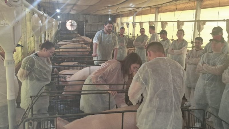 DIA DE CAMPO: Alimentação de matrizes na lactação