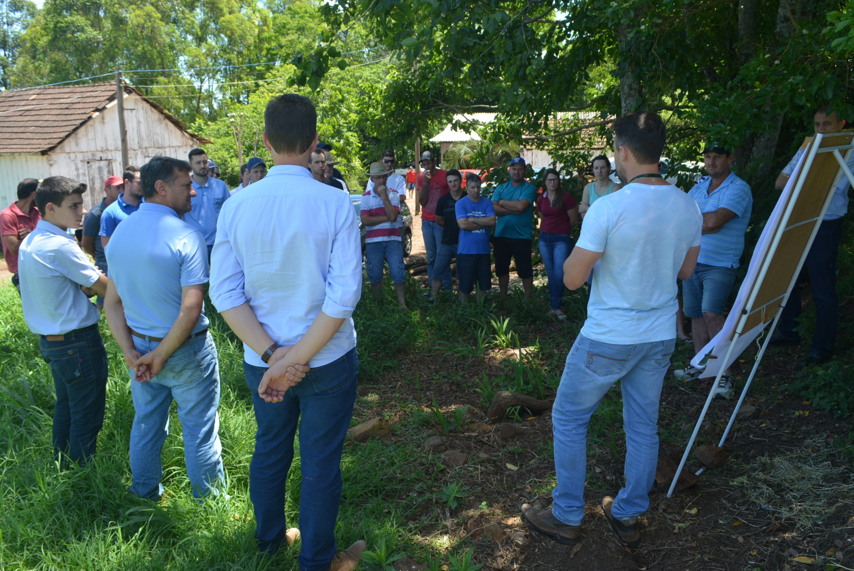 ESTUDOS GARANTEM SAÚDE E PRODUTIVIDADE AS BEZERRAS