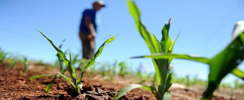 Produtores Rurais ingressam no eSocial em janeiro de 2019