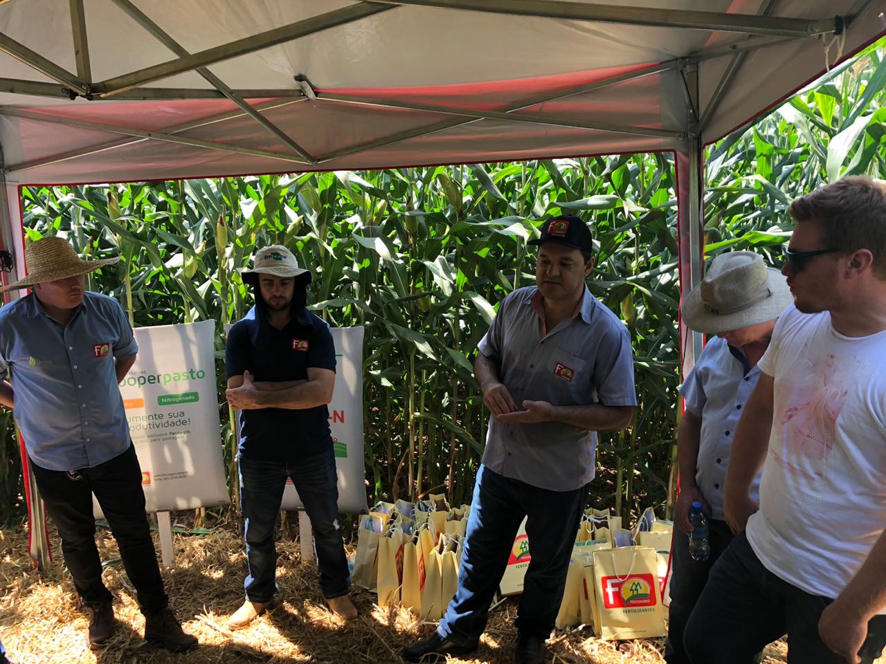 DIA DE CAMPO SOBRE MILHO: equipe técnica reunida em Palmitos