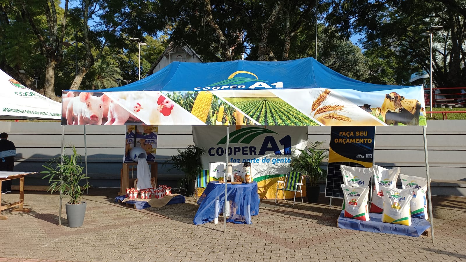 DIA DE COOPERAR: Ações de responsabilidade social e divulgação do cooperativismo