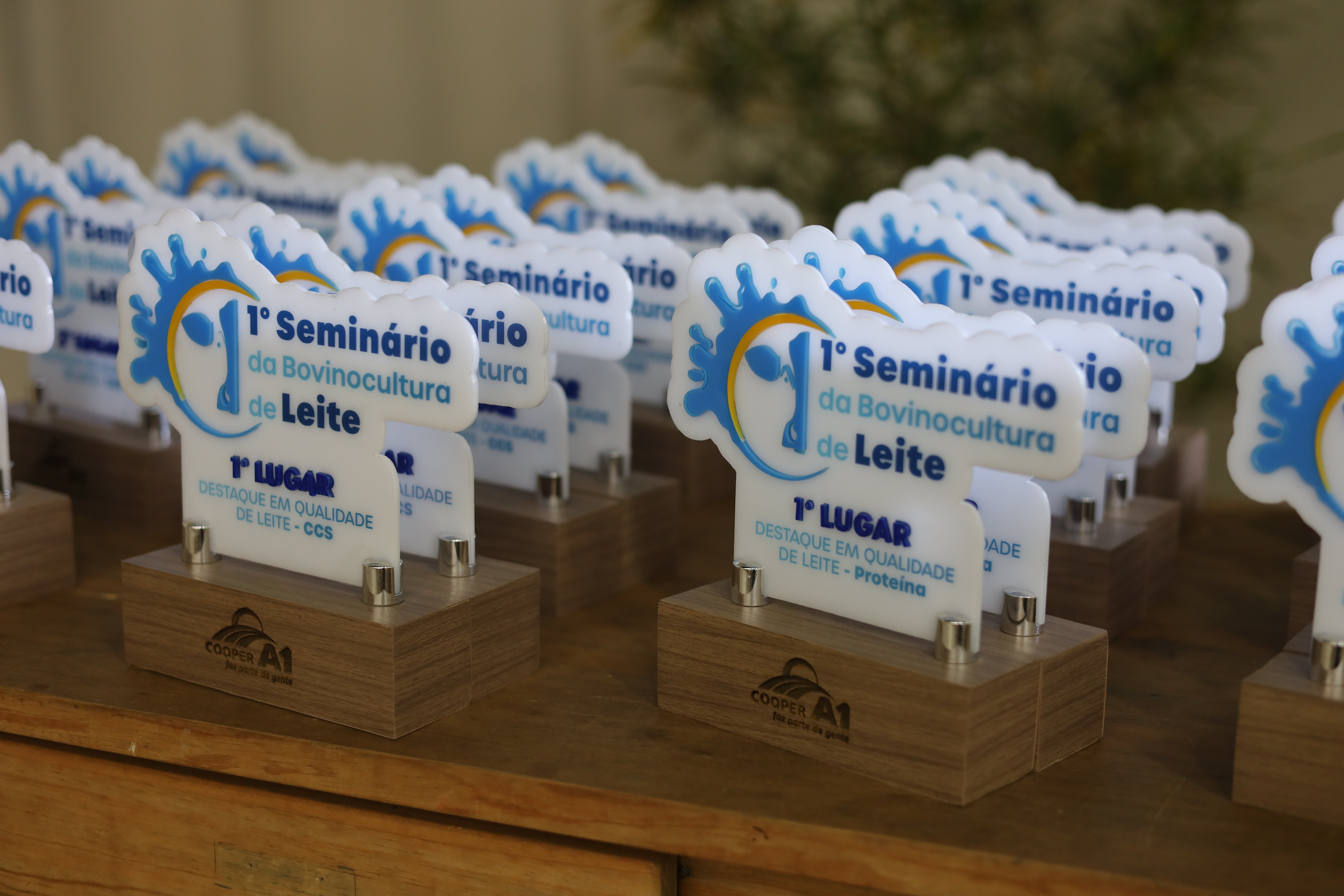 PRIMEIRA EDIÇÃO: Seminário da Bovinocultura de Leite reuniu mais de 300 produtores