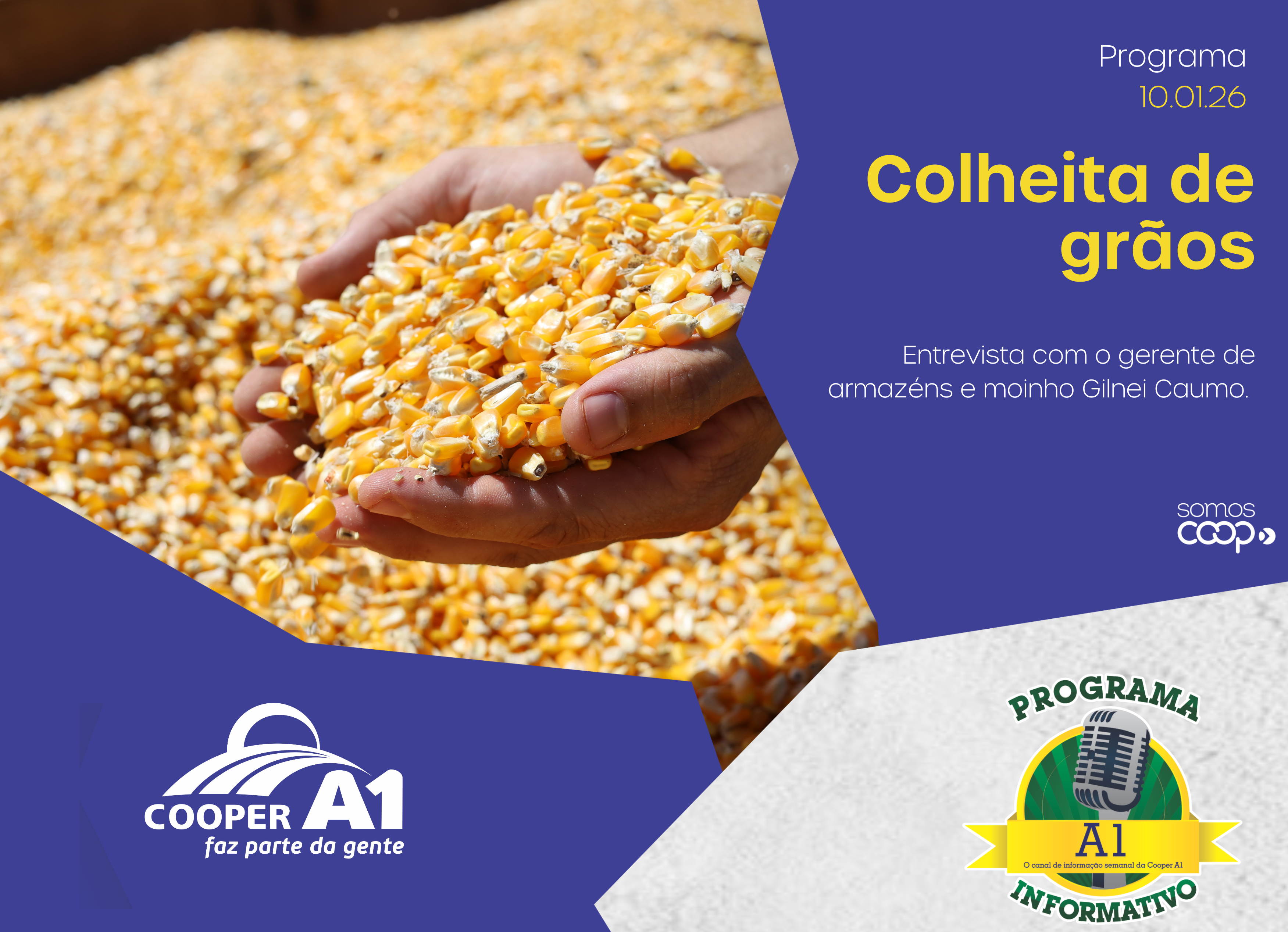 INFORMATIVO A1 10.01.26: Colheita de Gr&atilde;os